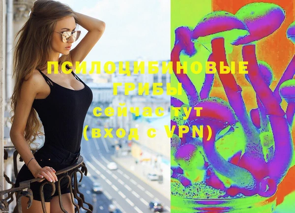 бошки Алексеевка