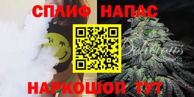 амф Донской