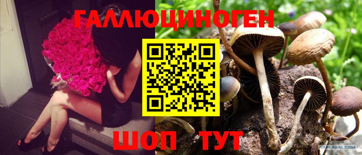 купить наркотик  Вход с VPN  Нижнеудинск  Галлюциногенные грибы мицелий 
